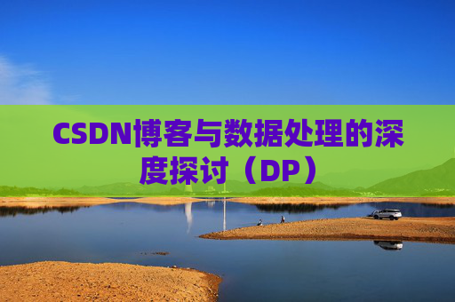 CSDN博客与数据处理的深度探讨（DP）